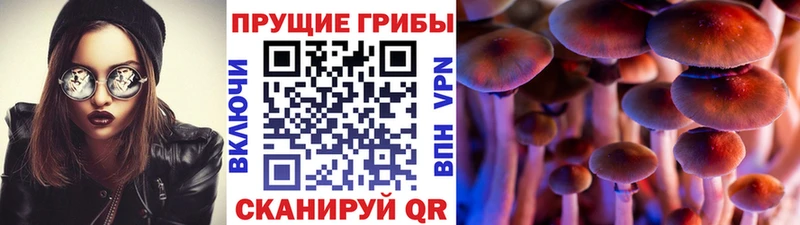 как найти закладки  Лысьва  Псилоцибиновые грибы Psilocybe 