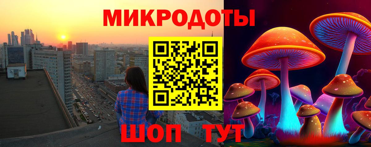 Галлюциногенные грибы Psilocybe Лысьва