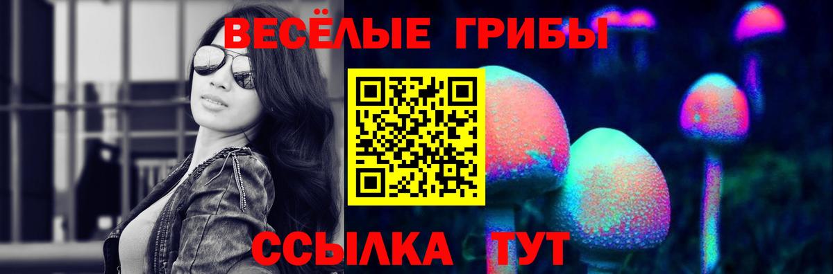 Псилоцибиновые грибы Cubensis  Вход с VPN  Лысьва 